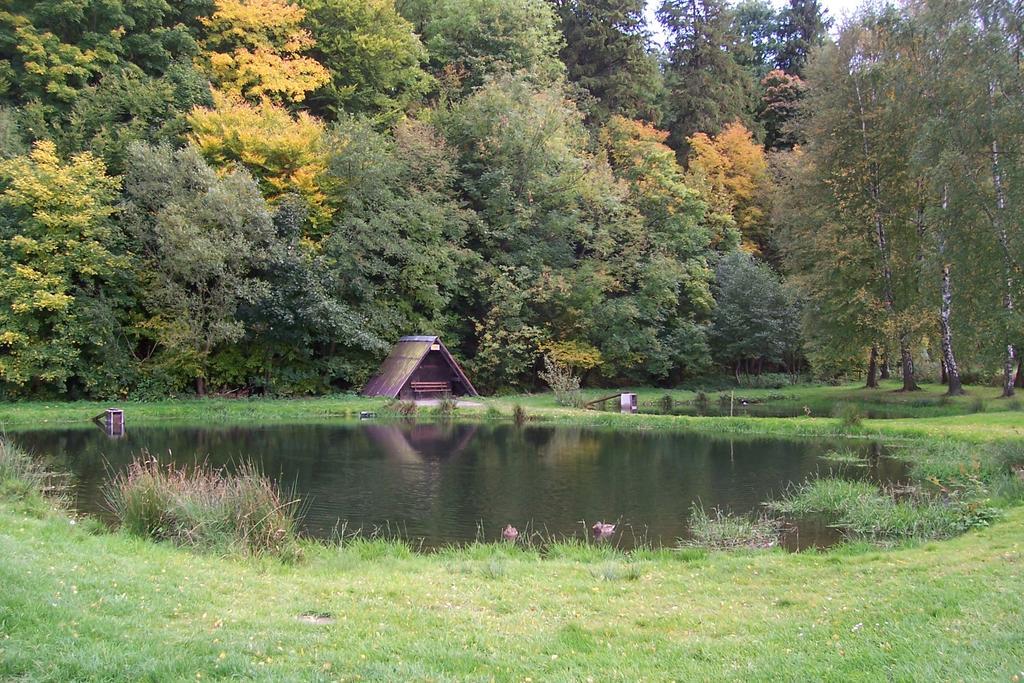 Fewo Wilke Willingen  Exterior foto